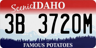 ID license plate 3B3720M