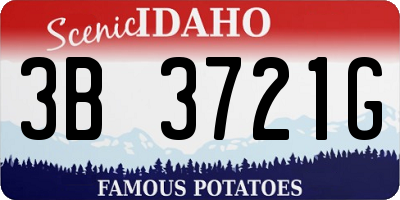 ID license plate 3B3721G