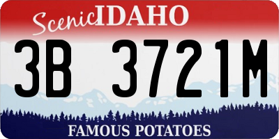 ID license plate 3B3721M