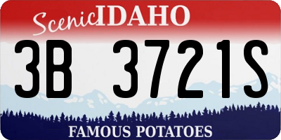 ID license plate 3B3721S