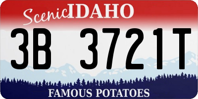 ID license plate 3B3721T