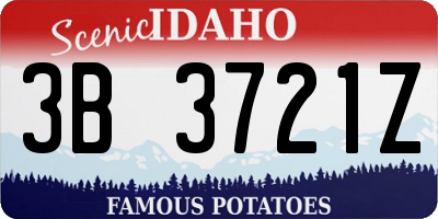 ID license plate 3B3721Z