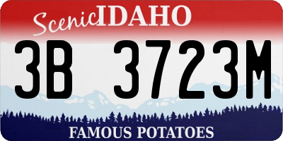 ID license plate 3B3723M