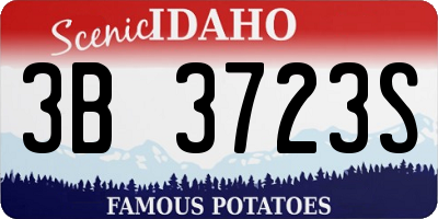 ID license plate 3B3723S