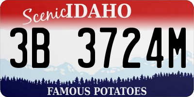 ID license plate 3B3724M