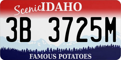 ID license plate 3B3725M