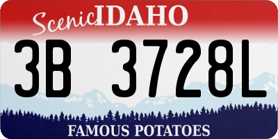 ID license plate 3B3728L