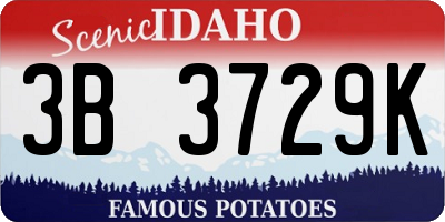 ID license plate 3B3729K