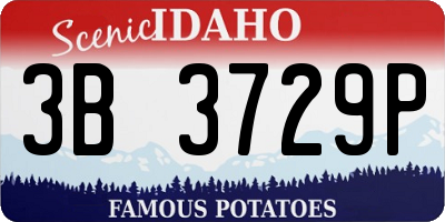 ID license plate 3B3729P