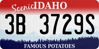 ID license plate 3B3729S