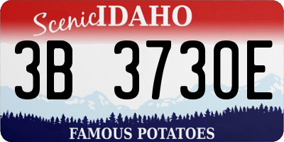 ID license plate 3B3730E