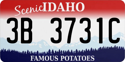 ID license plate 3B3731C