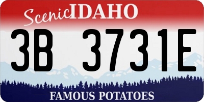 ID license plate 3B3731E