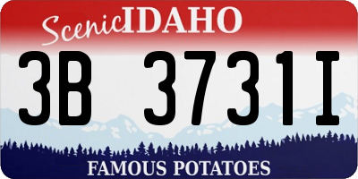 ID license plate 3B3731I