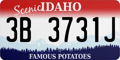 ID license plate 3B3731J