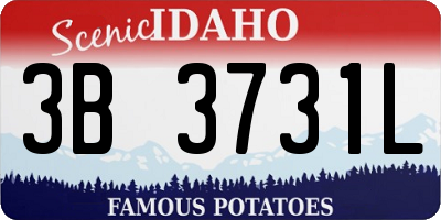 ID license plate 3B3731L