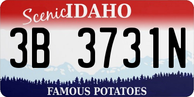 ID license plate 3B3731N