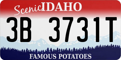 ID license plate 3B3731T