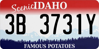 ID license plate 3B3731Y