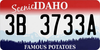 ID license plate 3B3733A