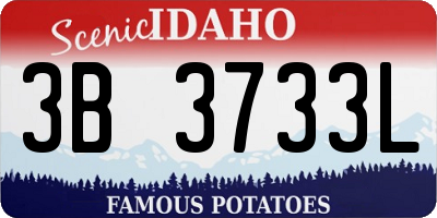 ID license plate 3B3733L