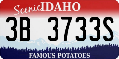 ID license plate 3B3733S
