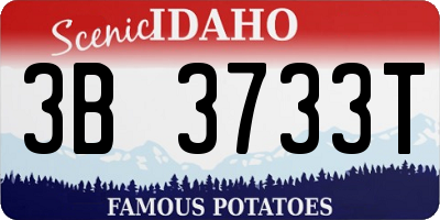 ID license plate 3B3733T