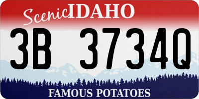 ID license plate 3B3734Q