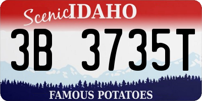 ID license plate 3B3735T