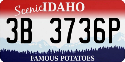 ID license plate 3B3736P