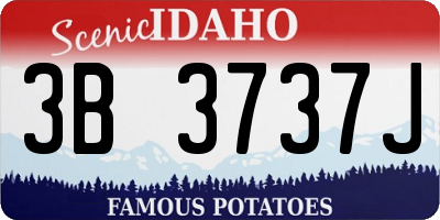 ID license plate 3B3737J