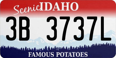 ID license plate 3B3737L