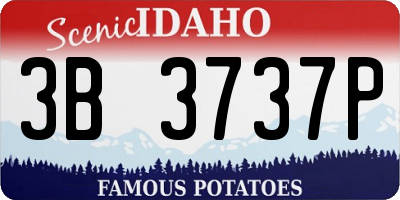 ID license plate 3B3737P