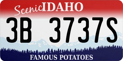 ID license plate 3B3737S