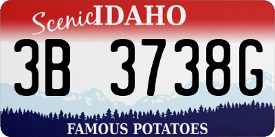 ID license plate 3B3738G