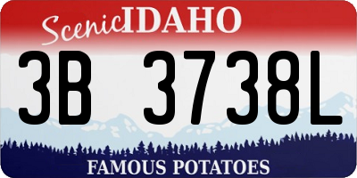 ID license plate 3B3738L