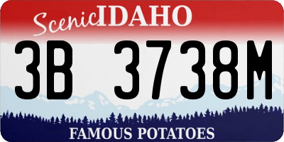 ID license plate 3B3738M
