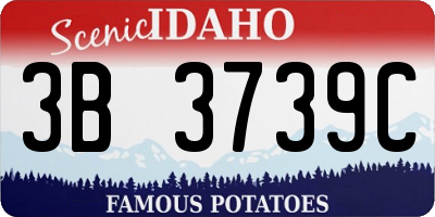 ID license plate 3B3739C