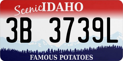 ID license plate 3B3739L
