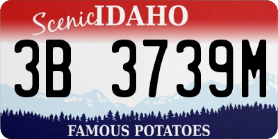 ID license plate 3B3739M