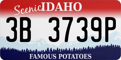 ID license plate 3B3739P