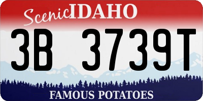 ID license plate 3B3739T