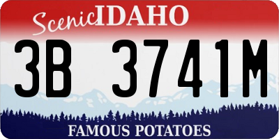 ID license plate 3B3741M