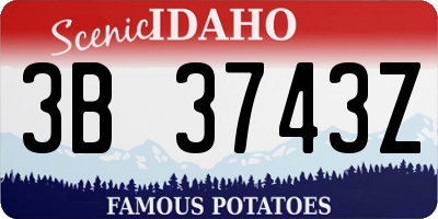 ID license plate 3B3743Z