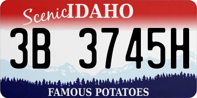 ID license plate 3B3745H