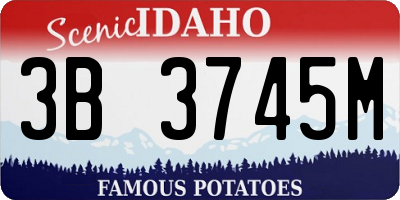 ID license plate 3B3745M