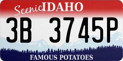 ID license plate 3B3745P