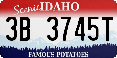 ID license plate 3B3745T