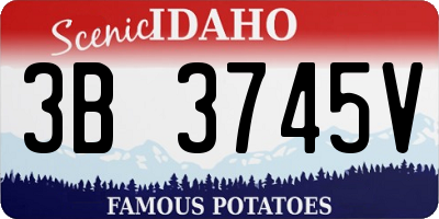 ID license plate 3B3745V
