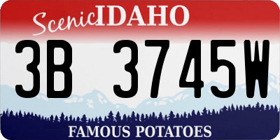 ID license plate 3B3745W